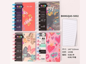 Cuaderno A5 x100 hojas 